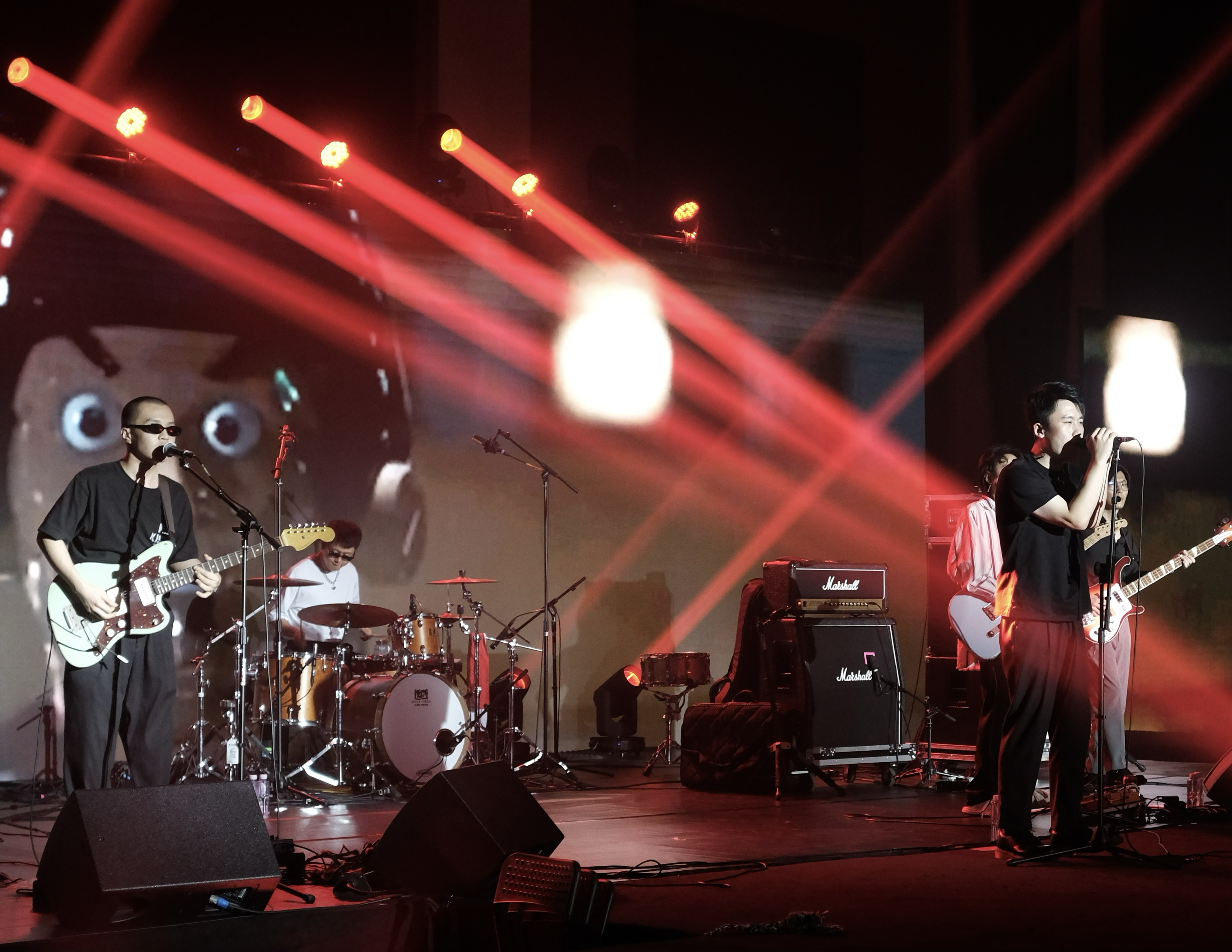 HERING ILLUSION · LIVEON